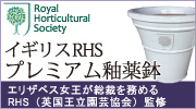 イギリスRHS・プレミアム釉薬鉢