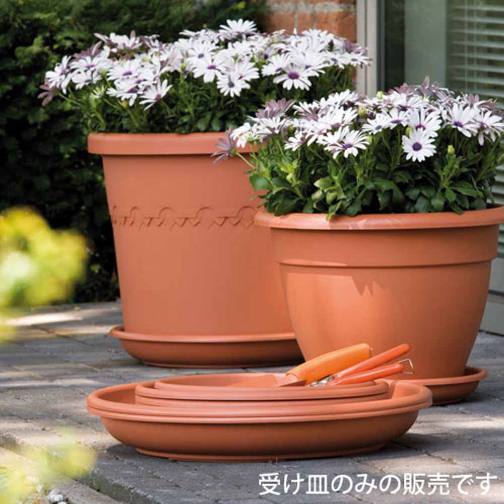 プランター 植木鉢 大きさサイズから検索